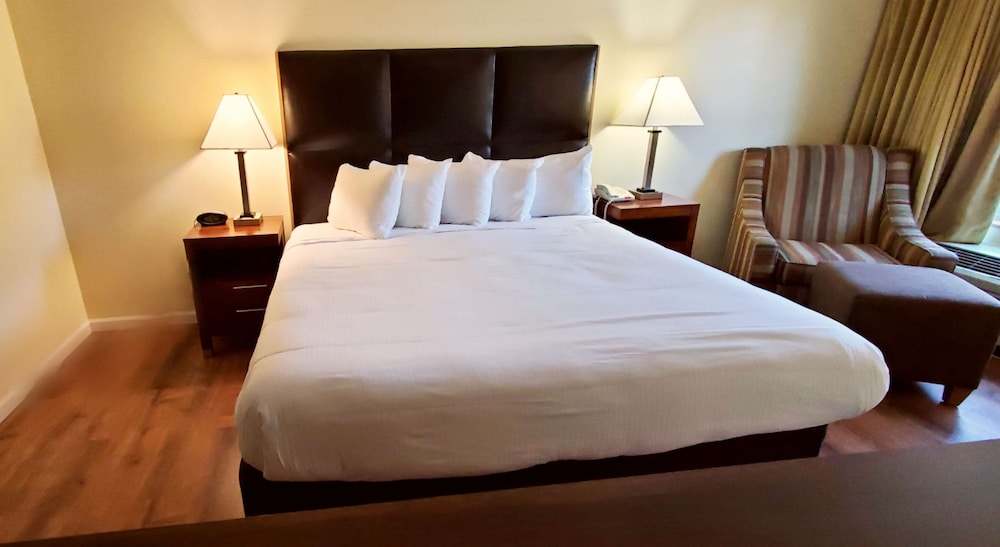 Best Western Plus Northwoods Inn 28/80