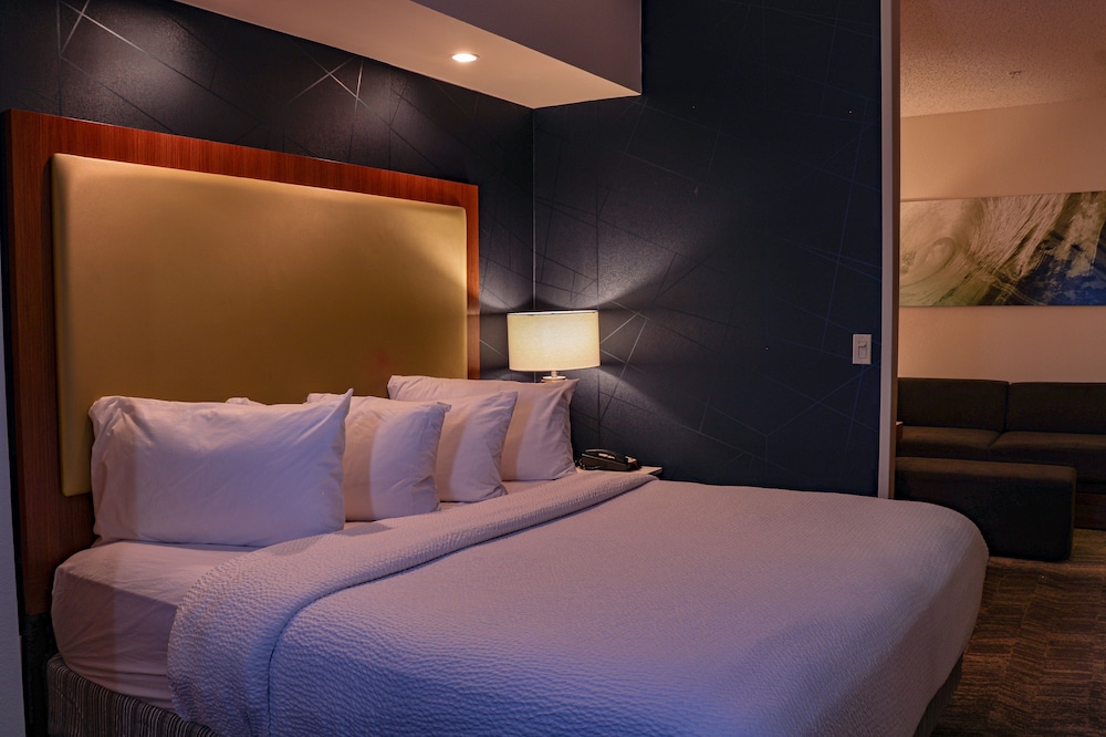 SpringHill Suites by Marriott Baton Rouge North/Airport 14/38