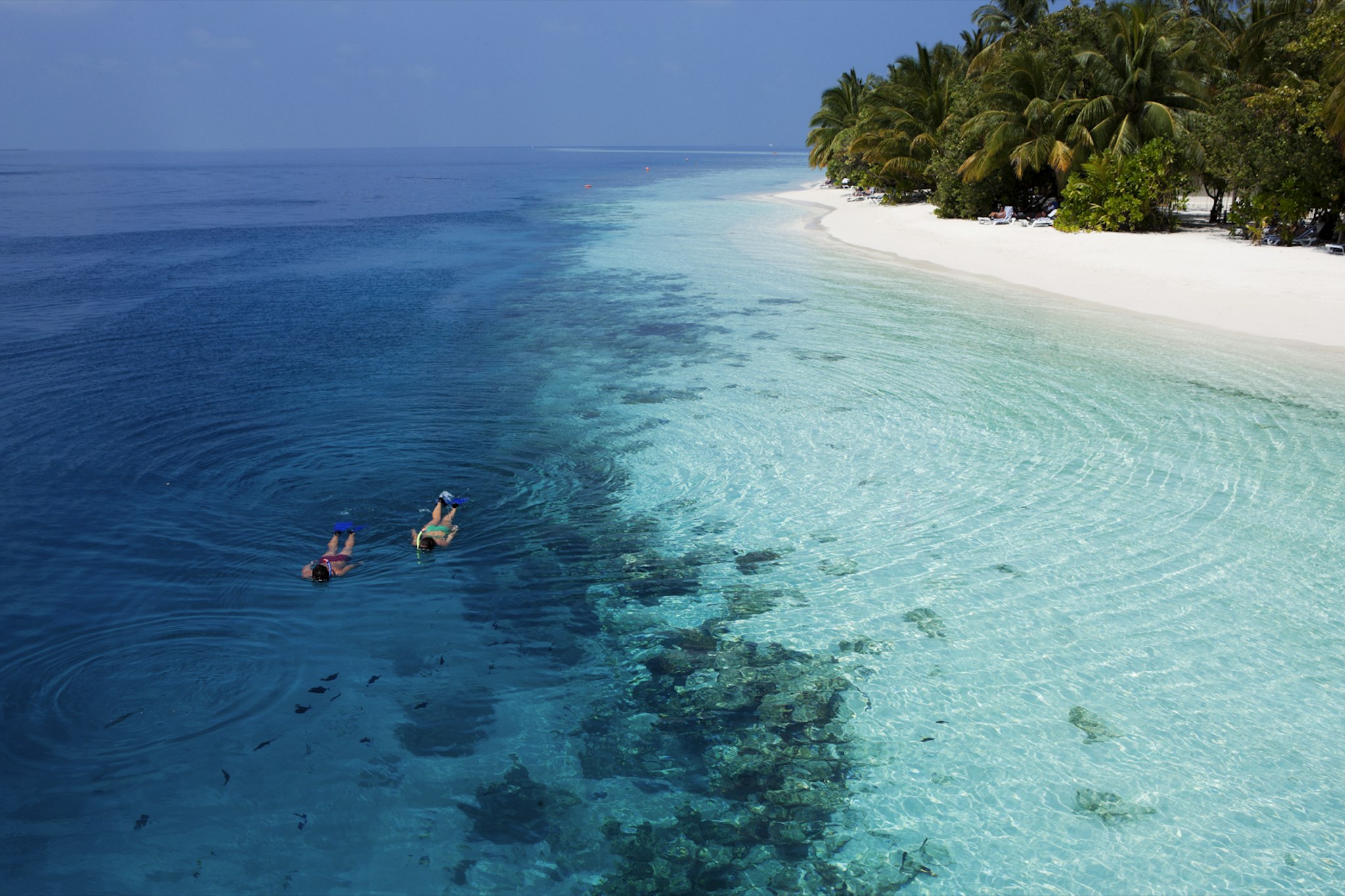 Vilamendhoo Island Resort & Spa 259/272