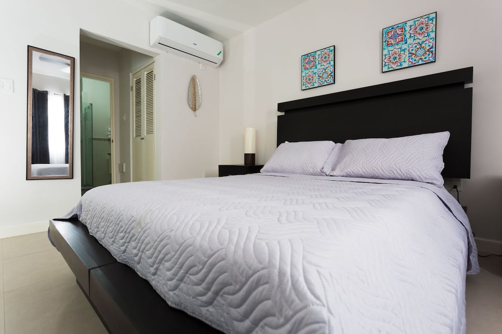 Kingston Luxury Guest Apt At Sullivan 2/19