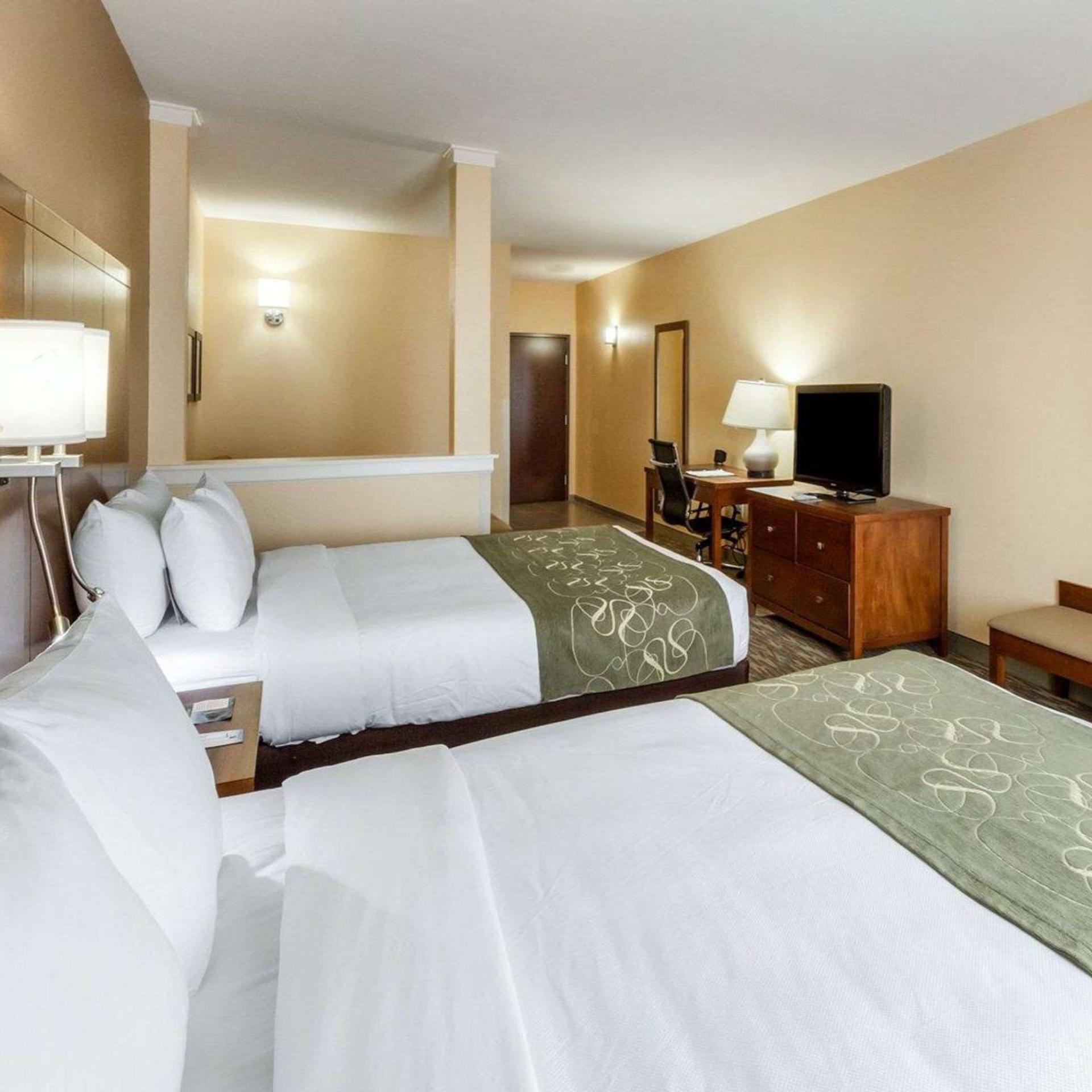 جناح بسرير كوين، Comfort Suites Cotulla Near I-35 2/6