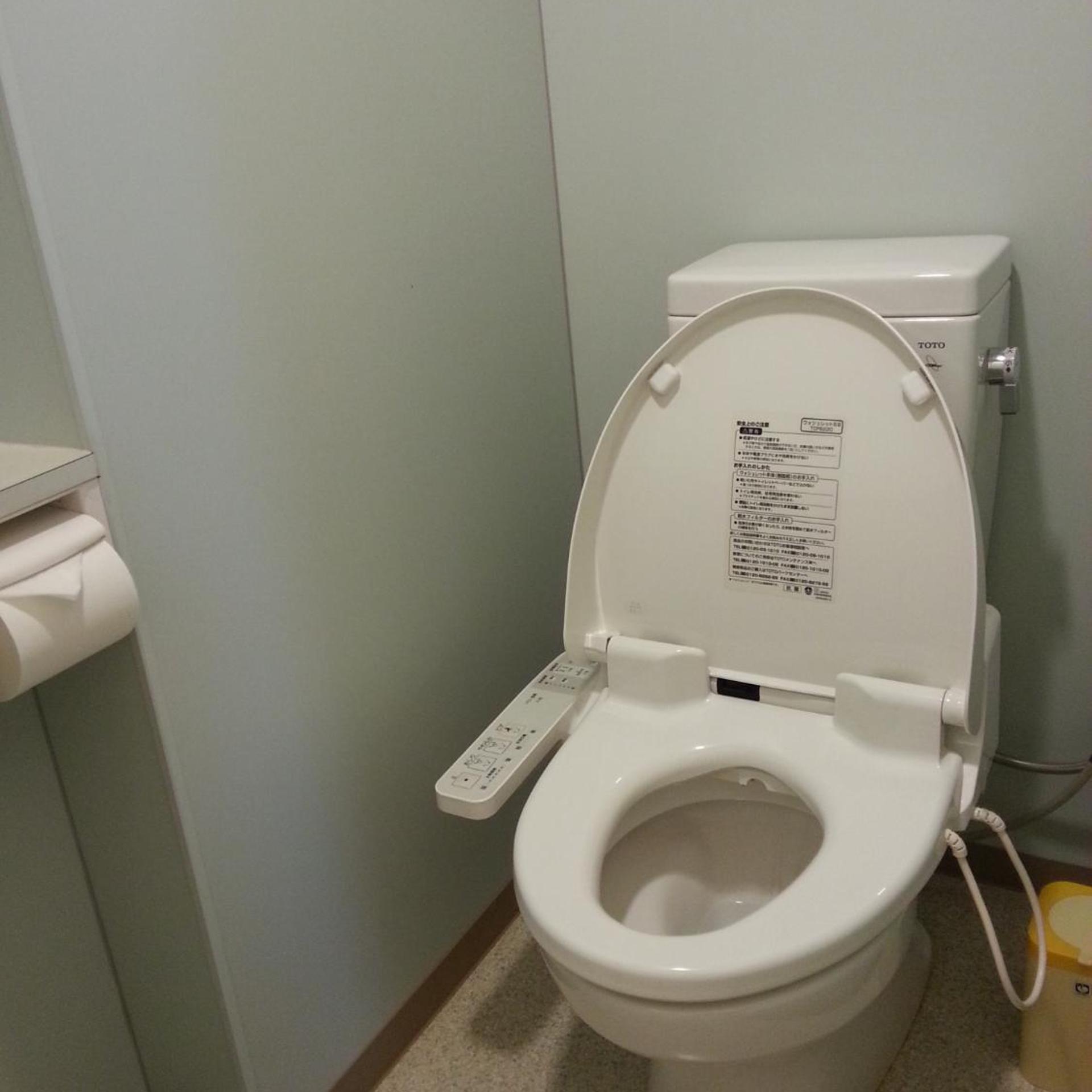 Family, Shared Bathroom, Kagoshima Dai-Ichi Hotel Kishaba 3/3