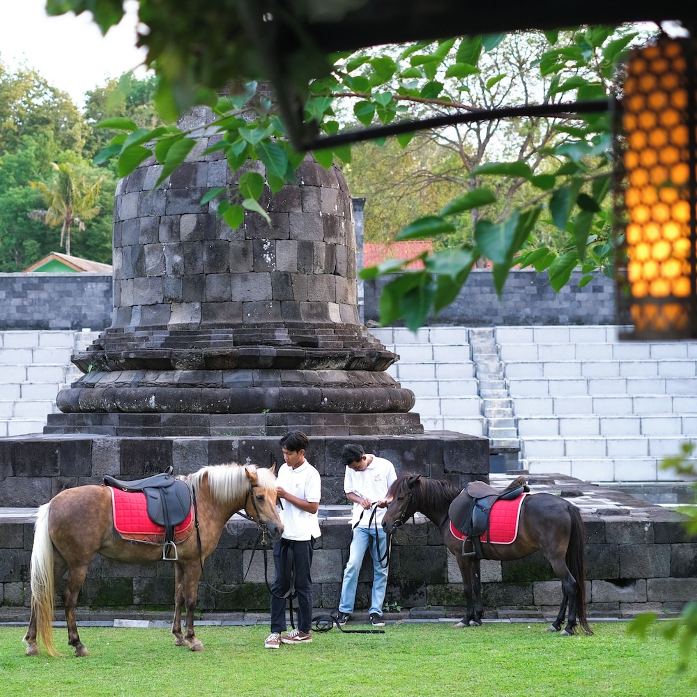 Abhayagiri - Sumberwatu Heritage Resort 36/55