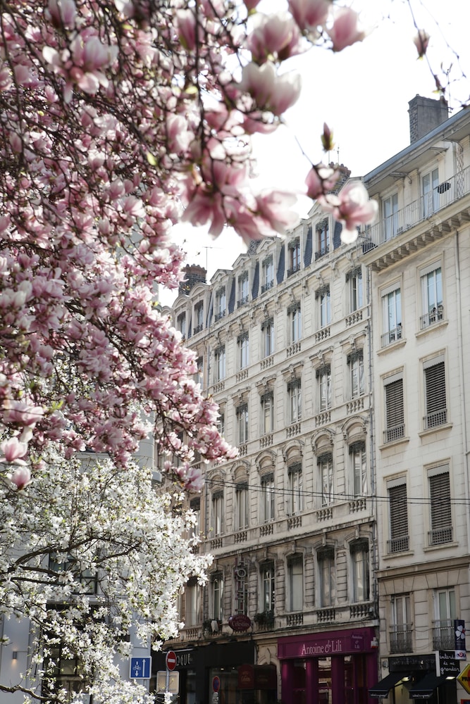 Hotel Des Celestins 4/39