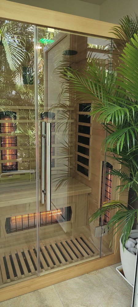 Majesty Palm 4/46