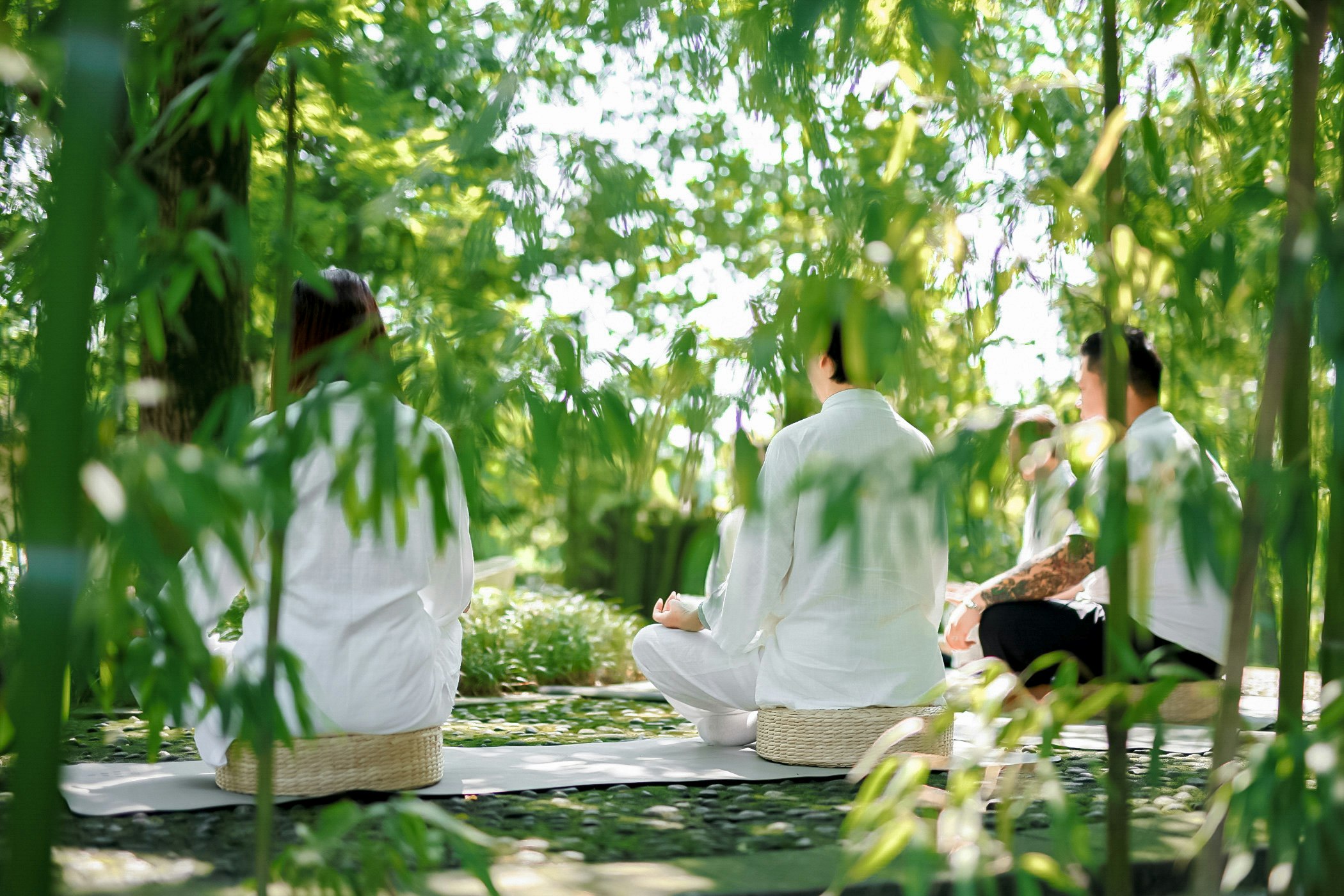 Six Senses Qing Cheng Mountain 75/80