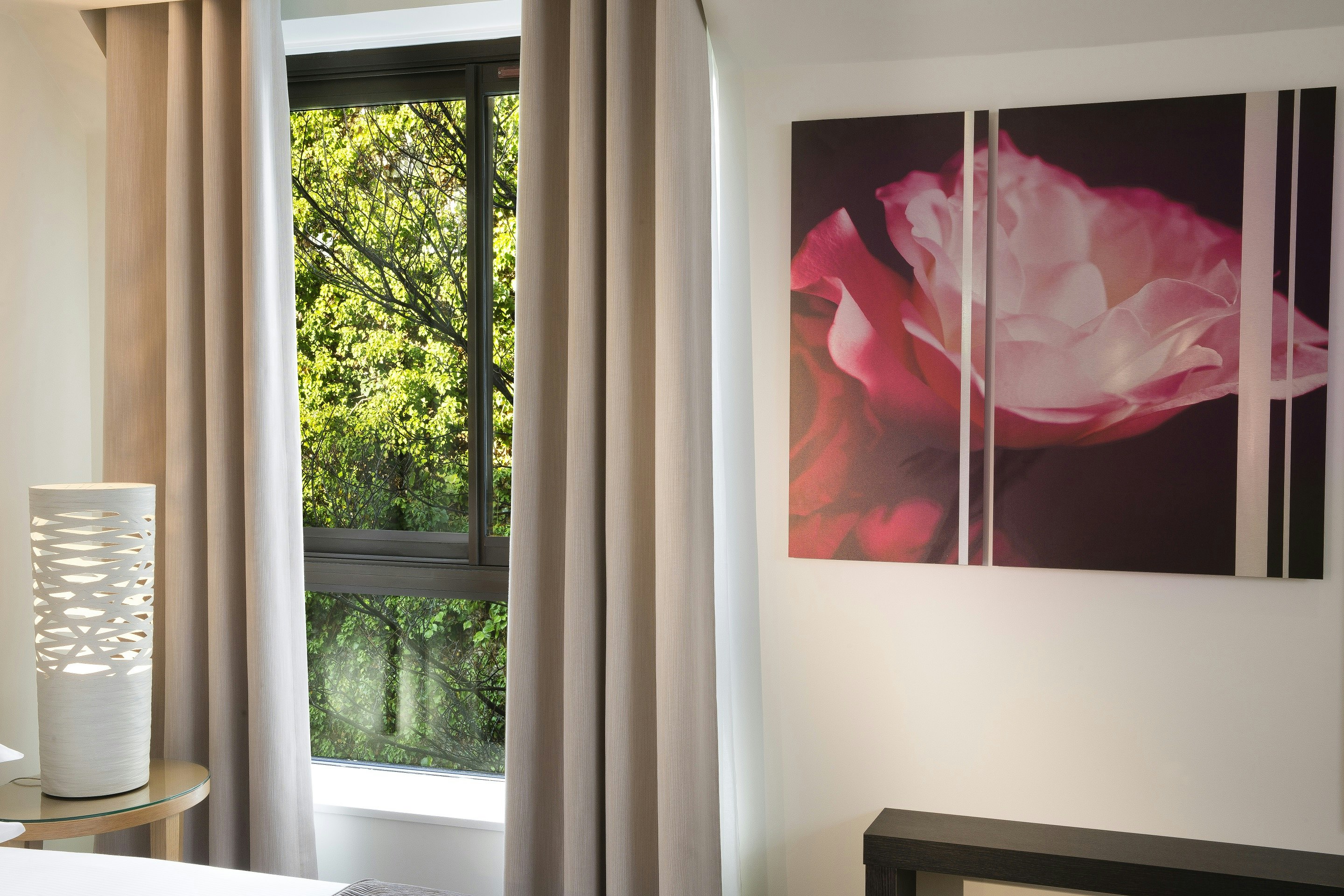 爱丽舍宫花园酒店(GARDEN-ELYSEE Hotel) 图片3