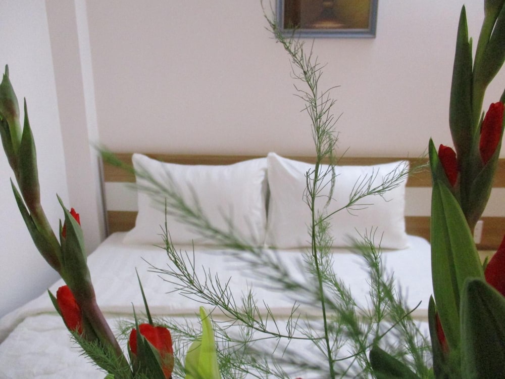 City Backpackers Hostel 28/40
