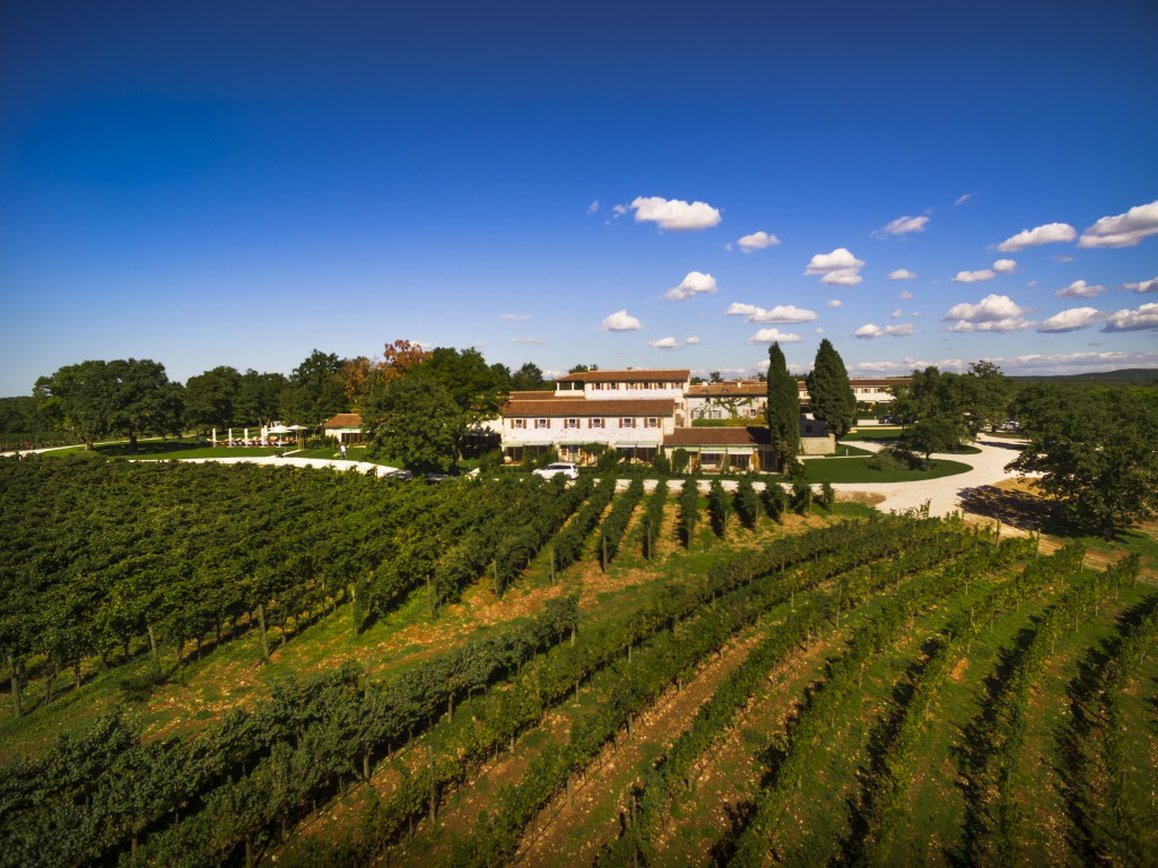 Meneghetti Wine Hotel Winery 12/14