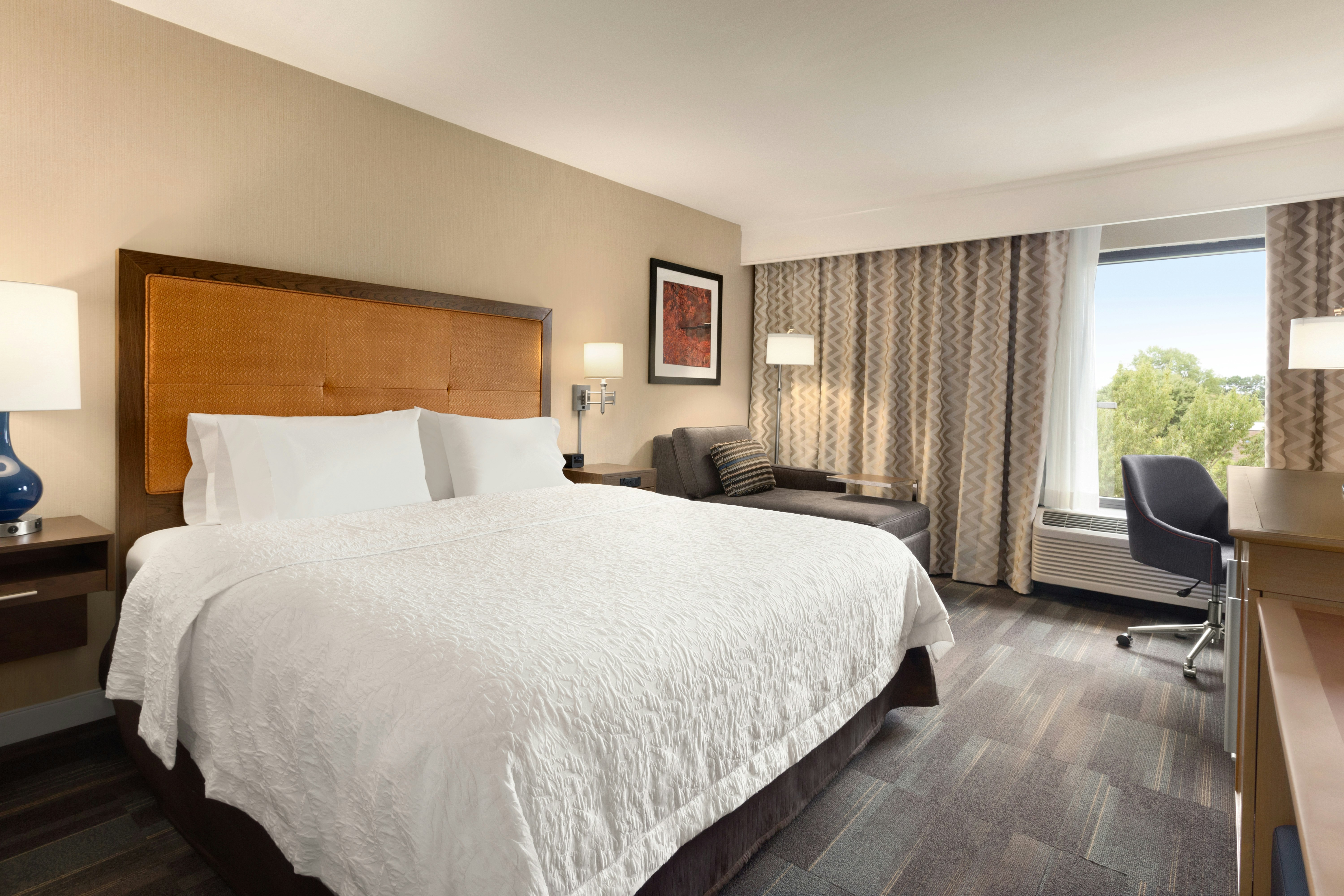 Room, King Bed, Accessible
