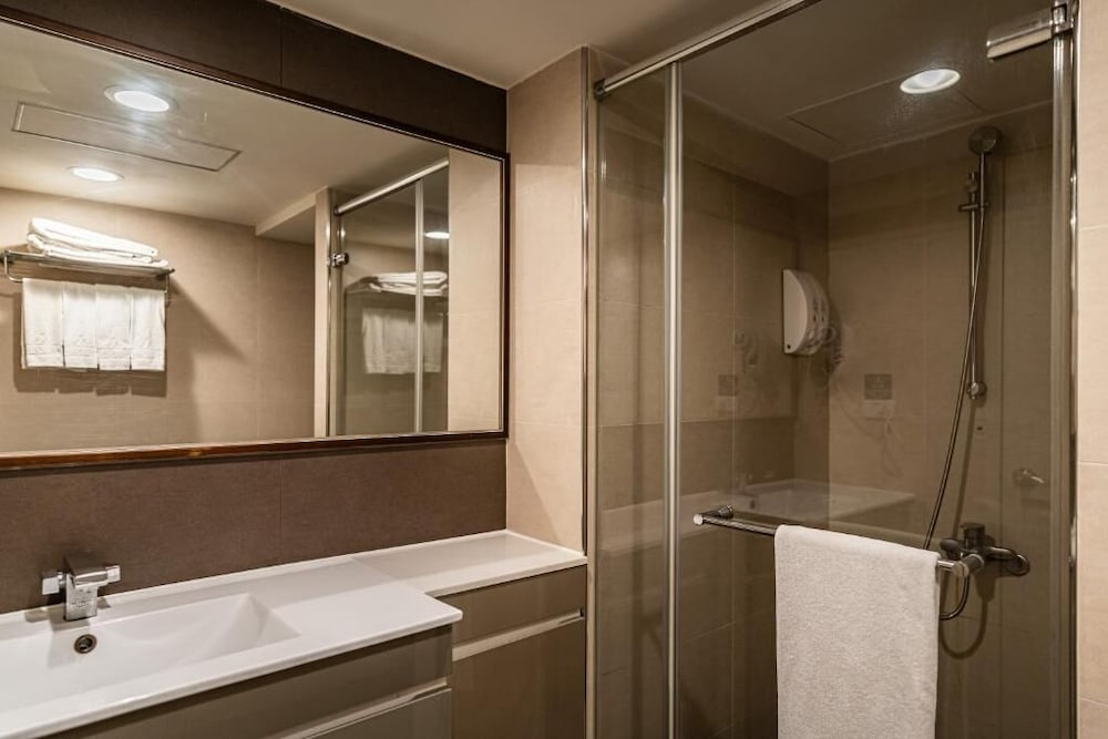 Global Traveler Hotel Kaohsiung 43/50