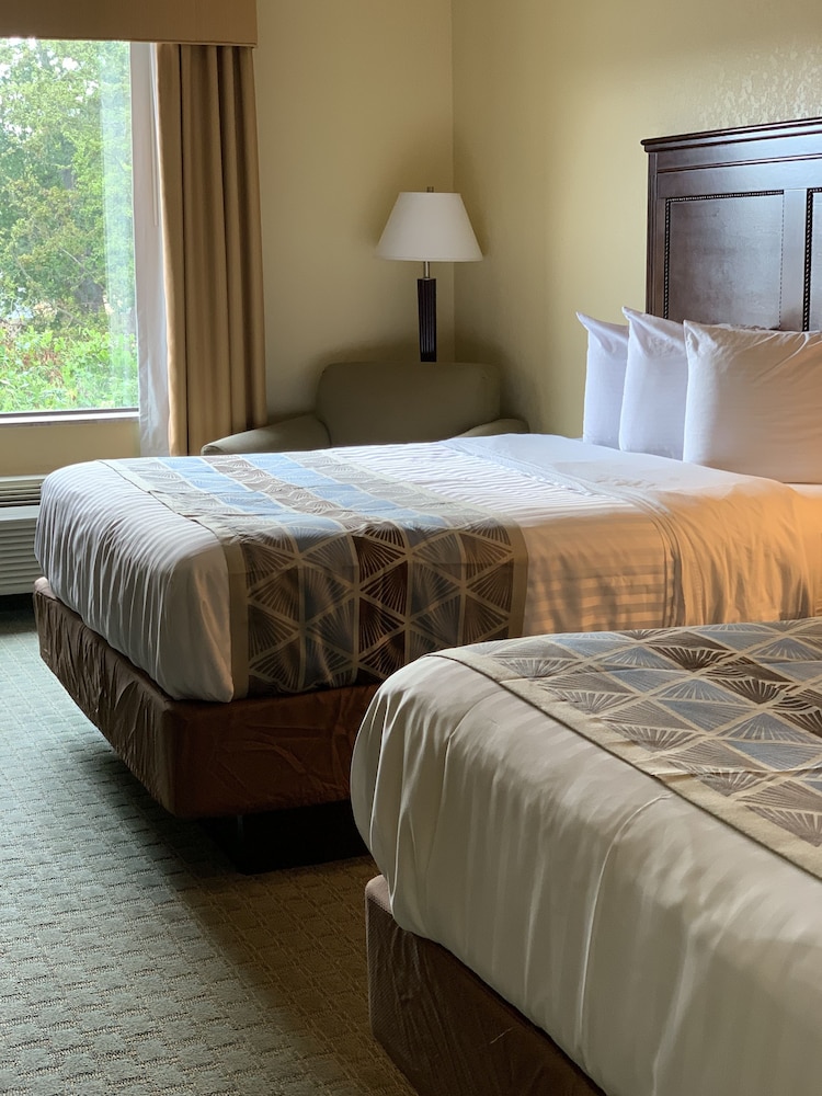 غرفة بسريرين كوين مع أريكة لذوي الإعاقة، Ambassador Inn and Suites Tuscaloosa 3/6