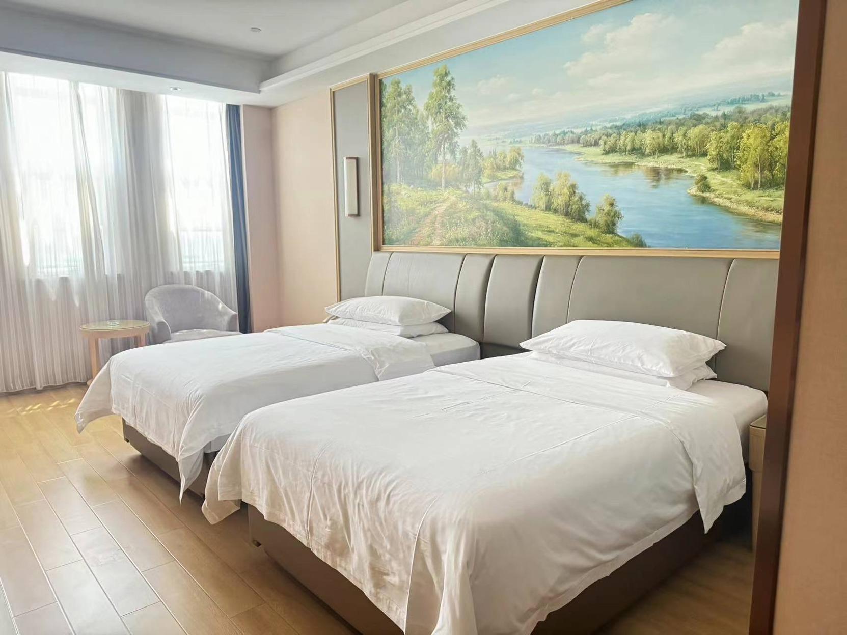 Vienna International Hotel (Tianjin Meijiang Convention and Exhibition Center) 12/35