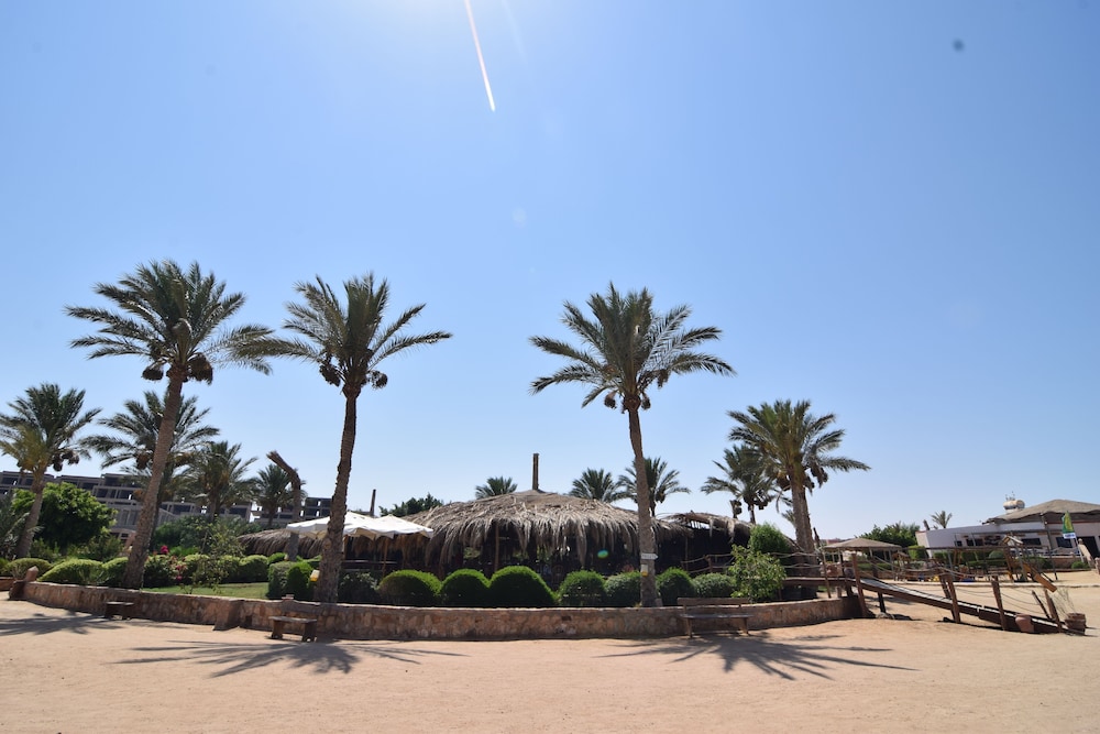 Sharm El Naga Resort and Diving Center 26/37