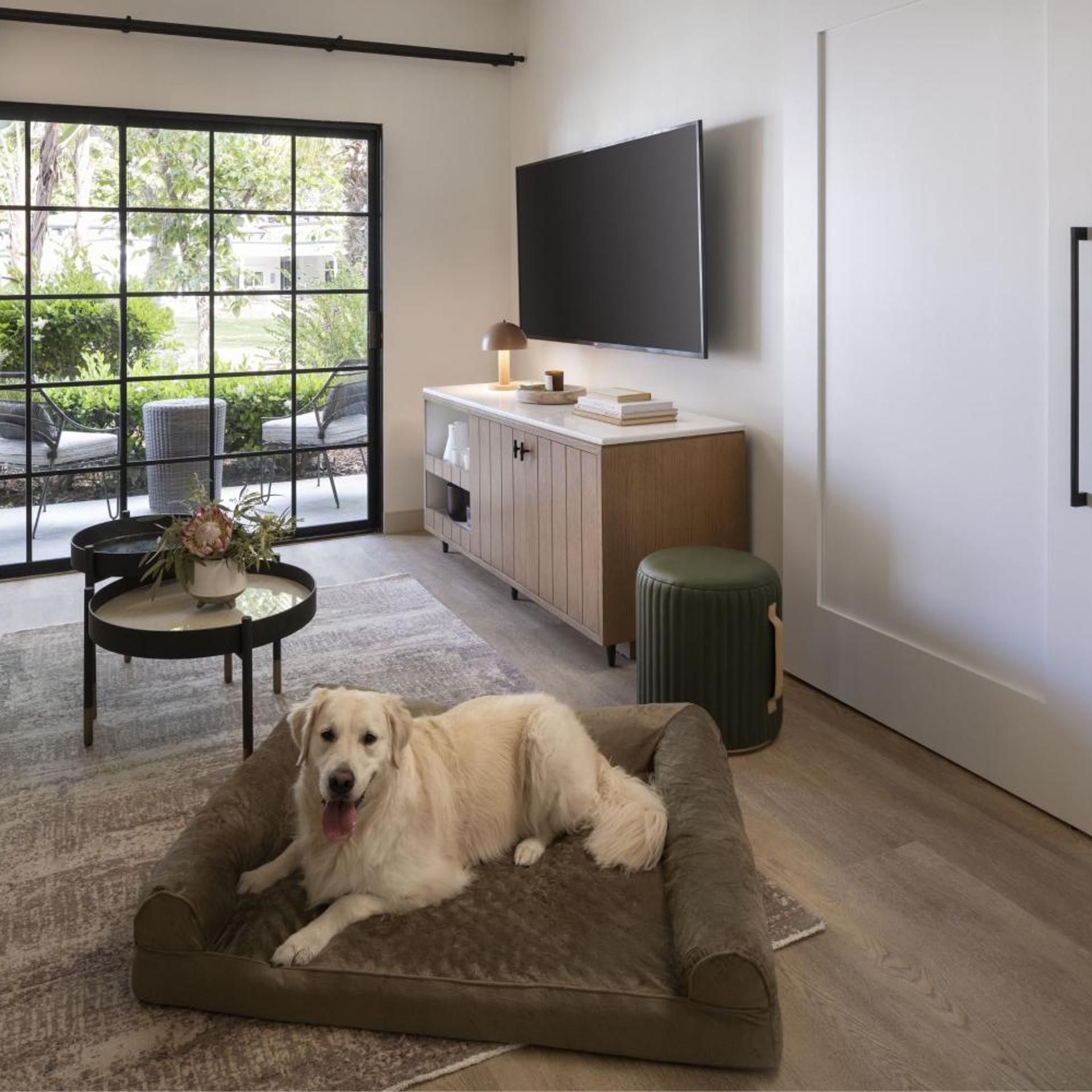 1 Bedroom, Garden, Suite, King Bed, Sofa, The Steward, Santa Barbara, a Tribute Portfolio Hotel 3/4