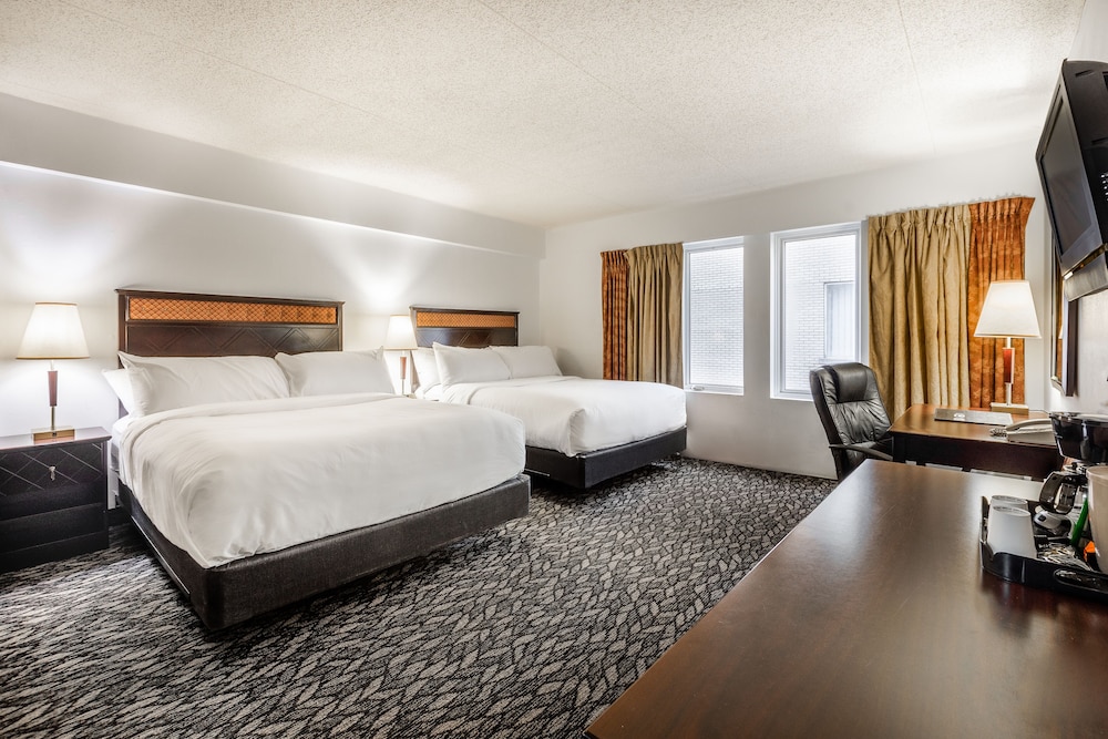 Lelux Hotel 16/52