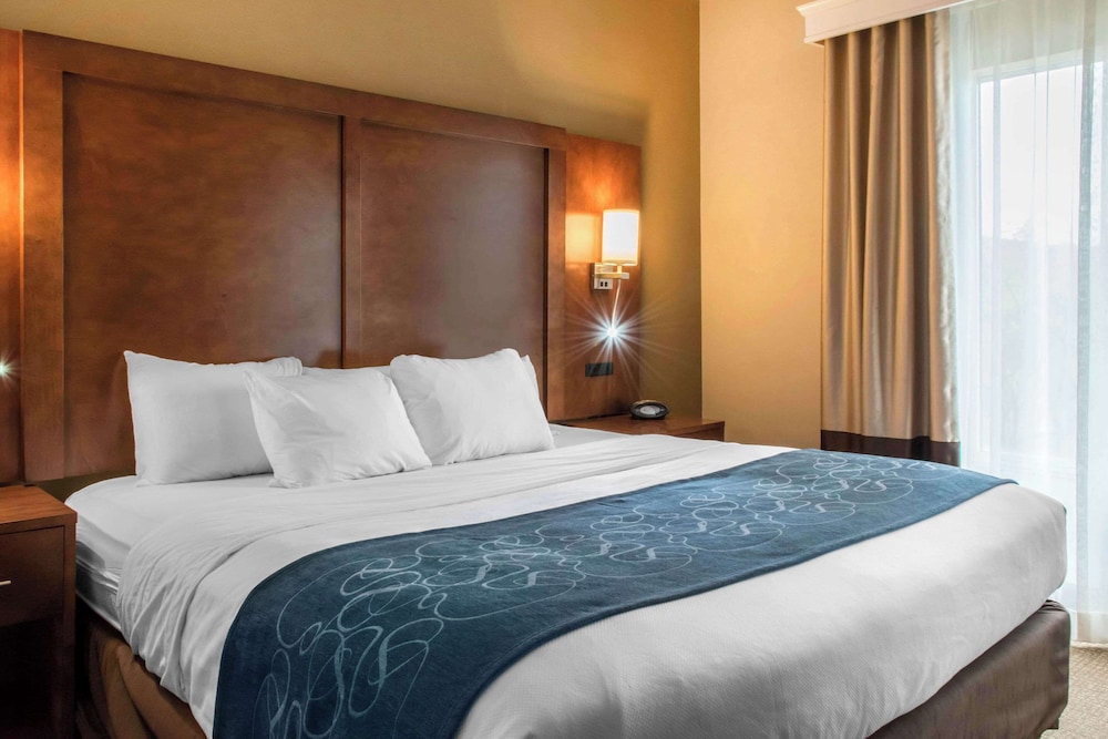 Efficiency, Suite, King and Queen Bed