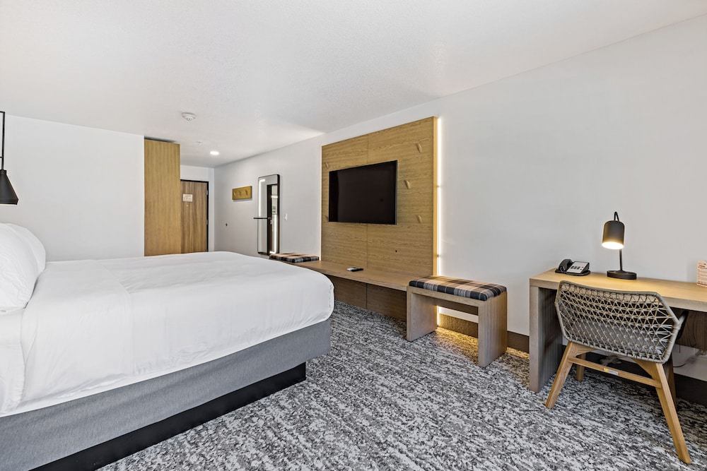 The Evergreen Hotel 16/54