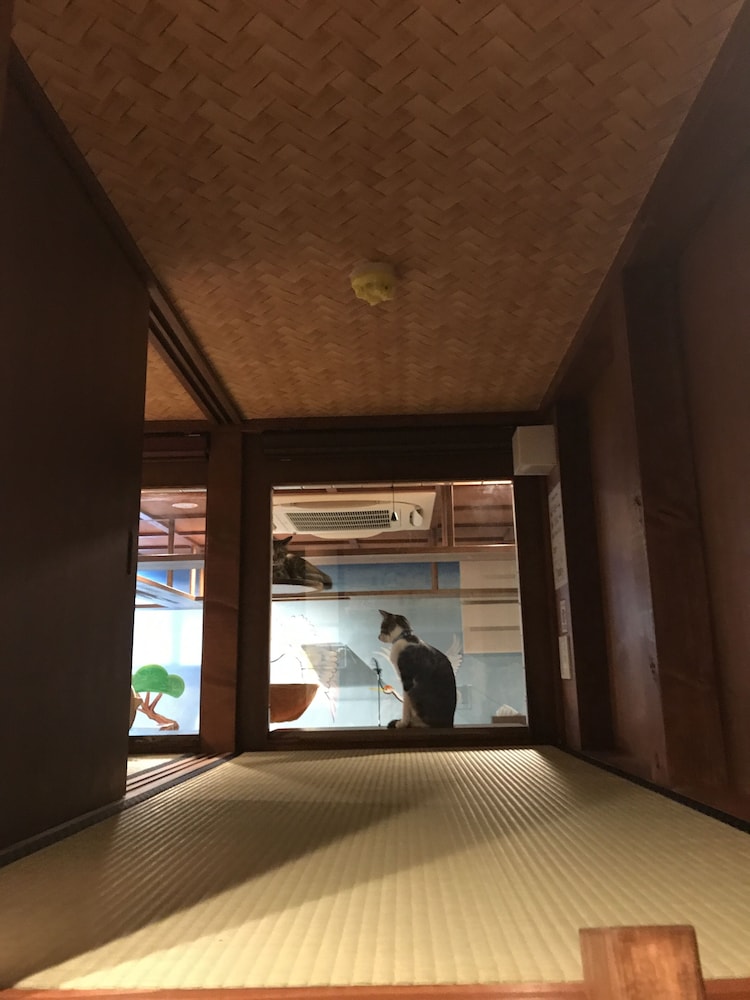 Cat Spa & Cat Ryokan Neco Republic Osaka 28/37