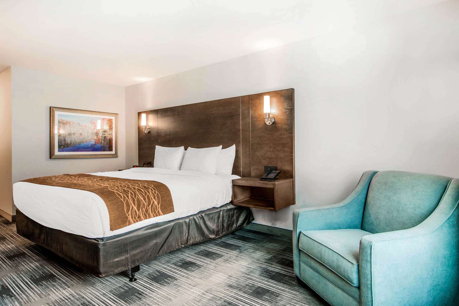 Room, King Bed, Accessible