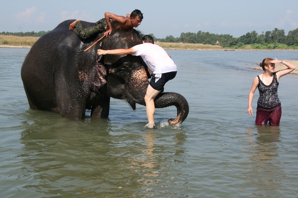 Jungle Wildlife Camp 30/41