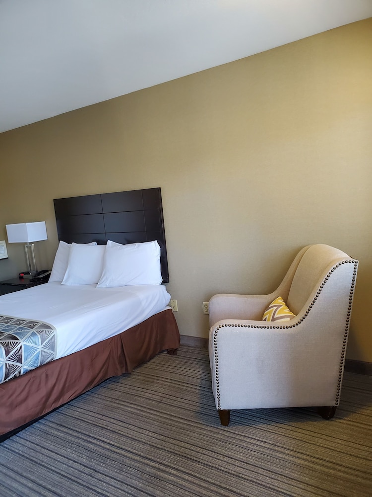 Americas Best Value Inn San Carlos San Francisco 22/39