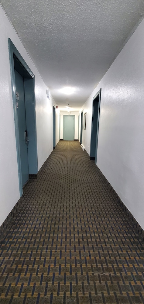 Belmont inn 32/36