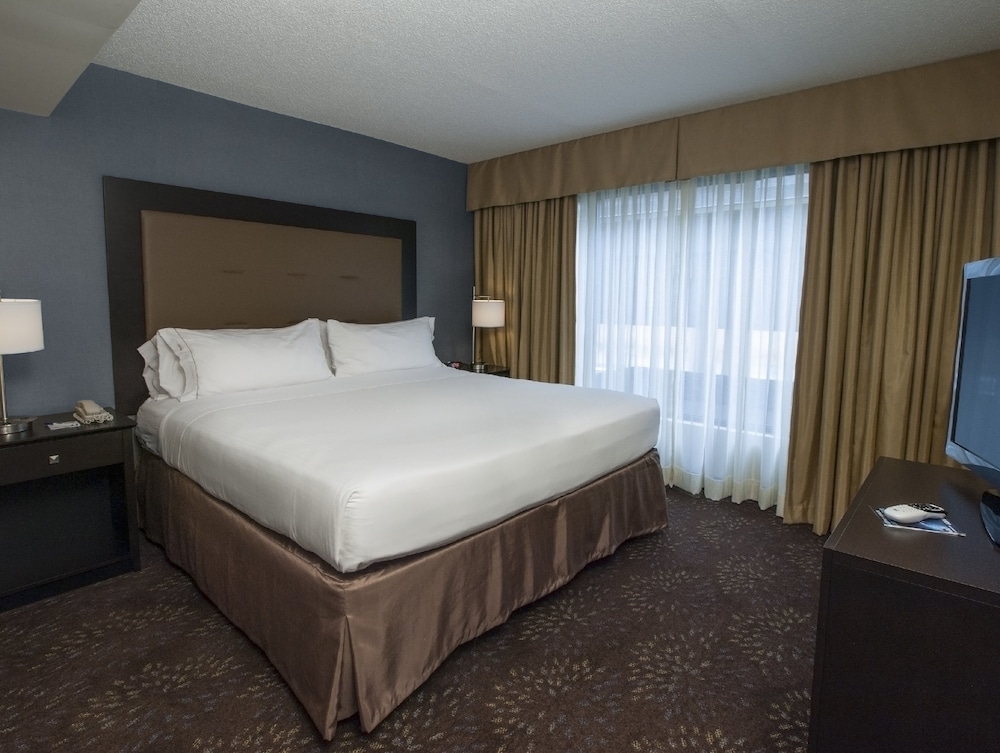 Holiday Inn Express Hotel Suites Buffalo Airport 19/58