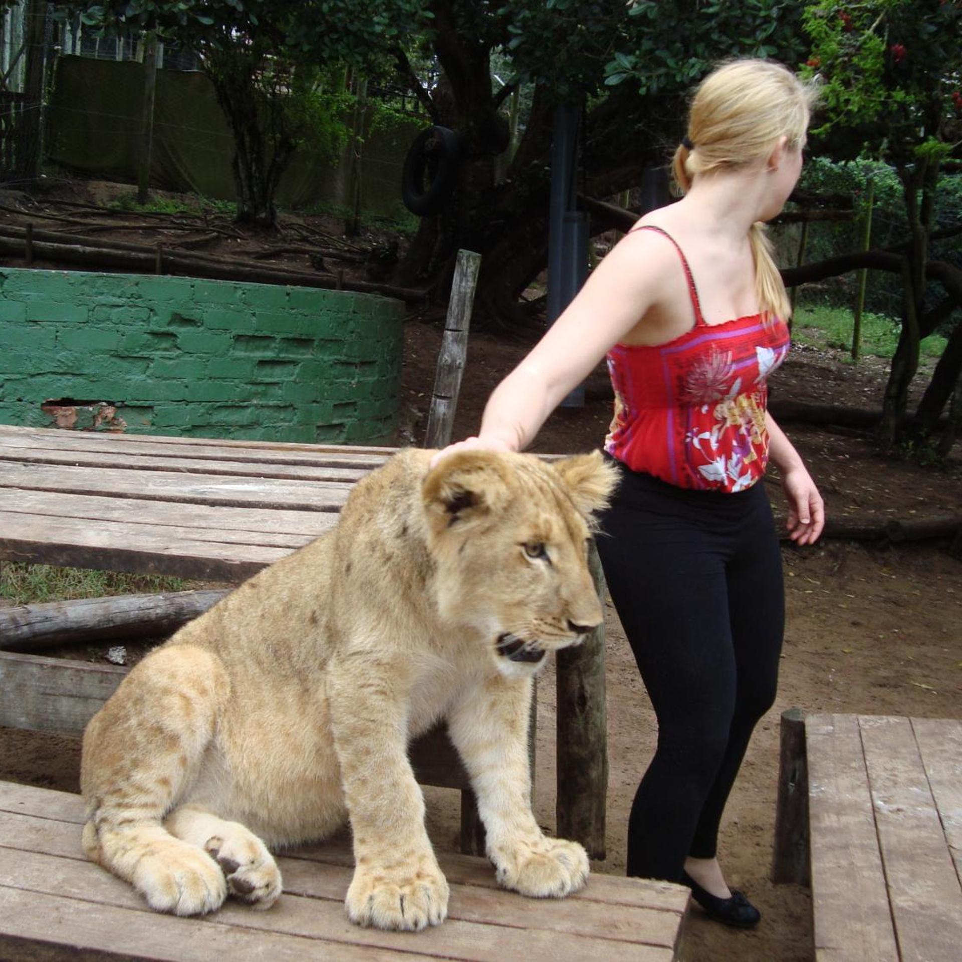 Jikeleza Lodge Backpackers 26/50