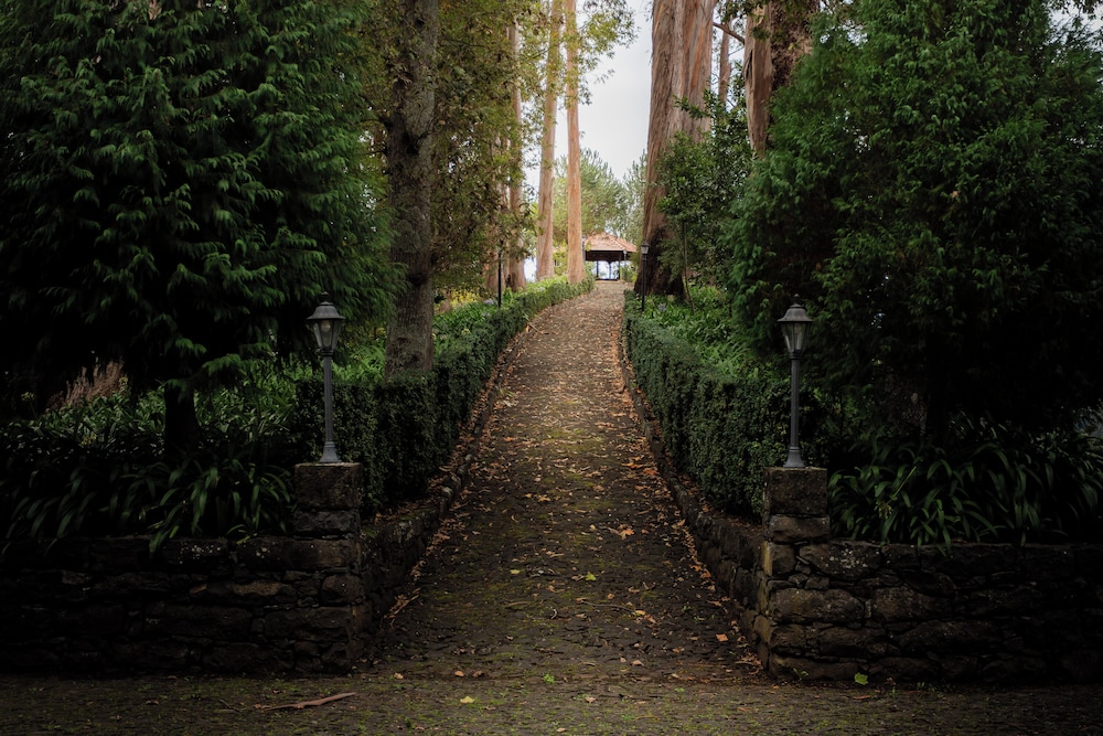 surroundings