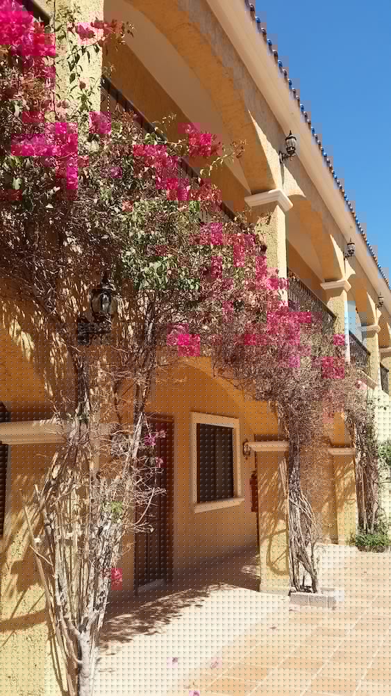 Hacienda Suites Loreto 13/53