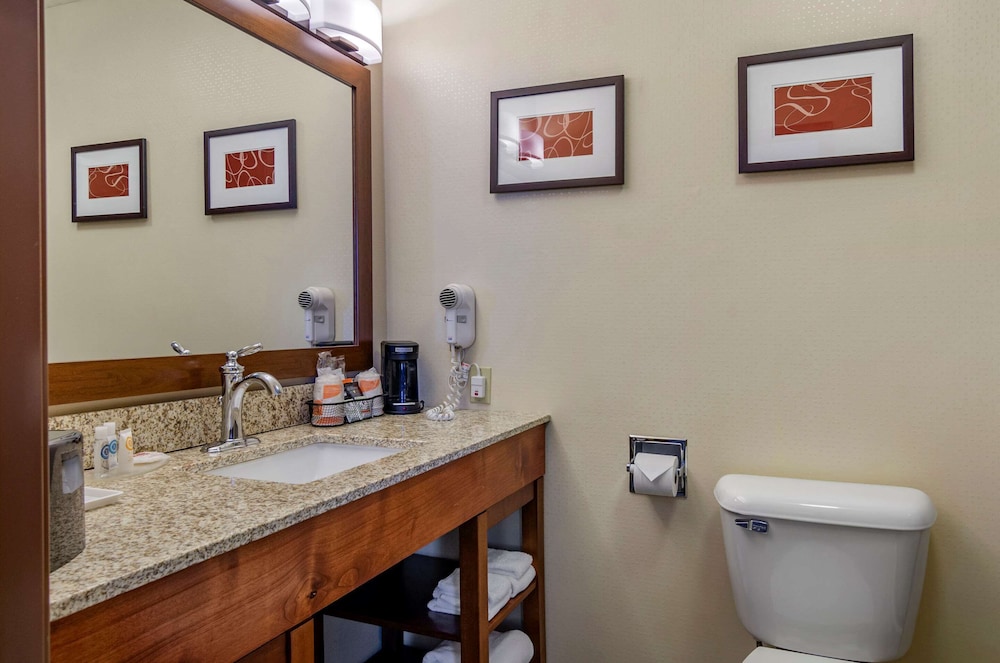 Comfort Inn Bozeman near University 31/41