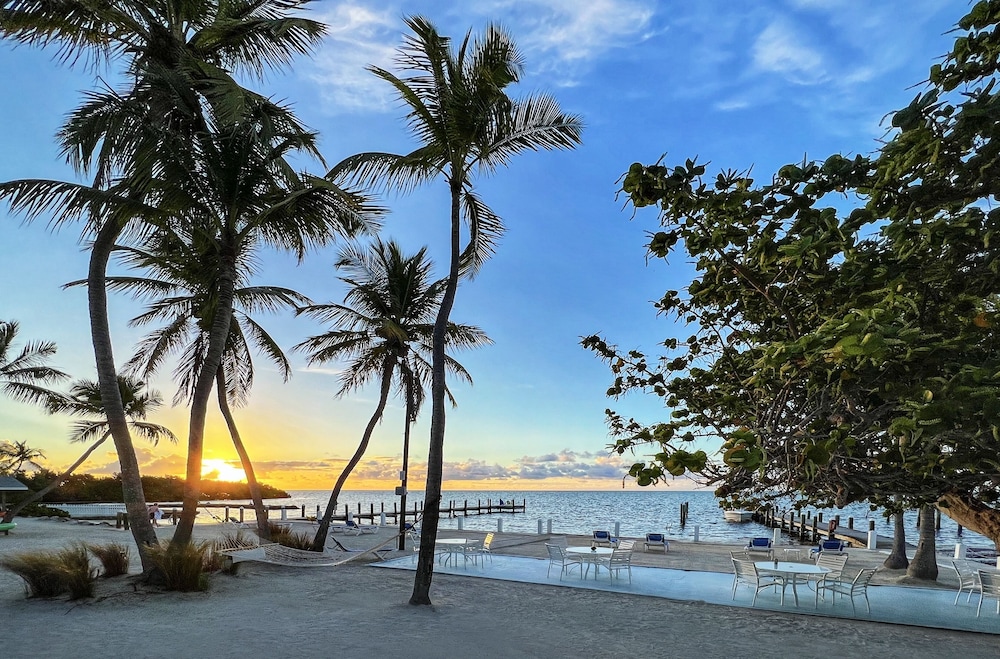 Pines Palms Resort 41/73