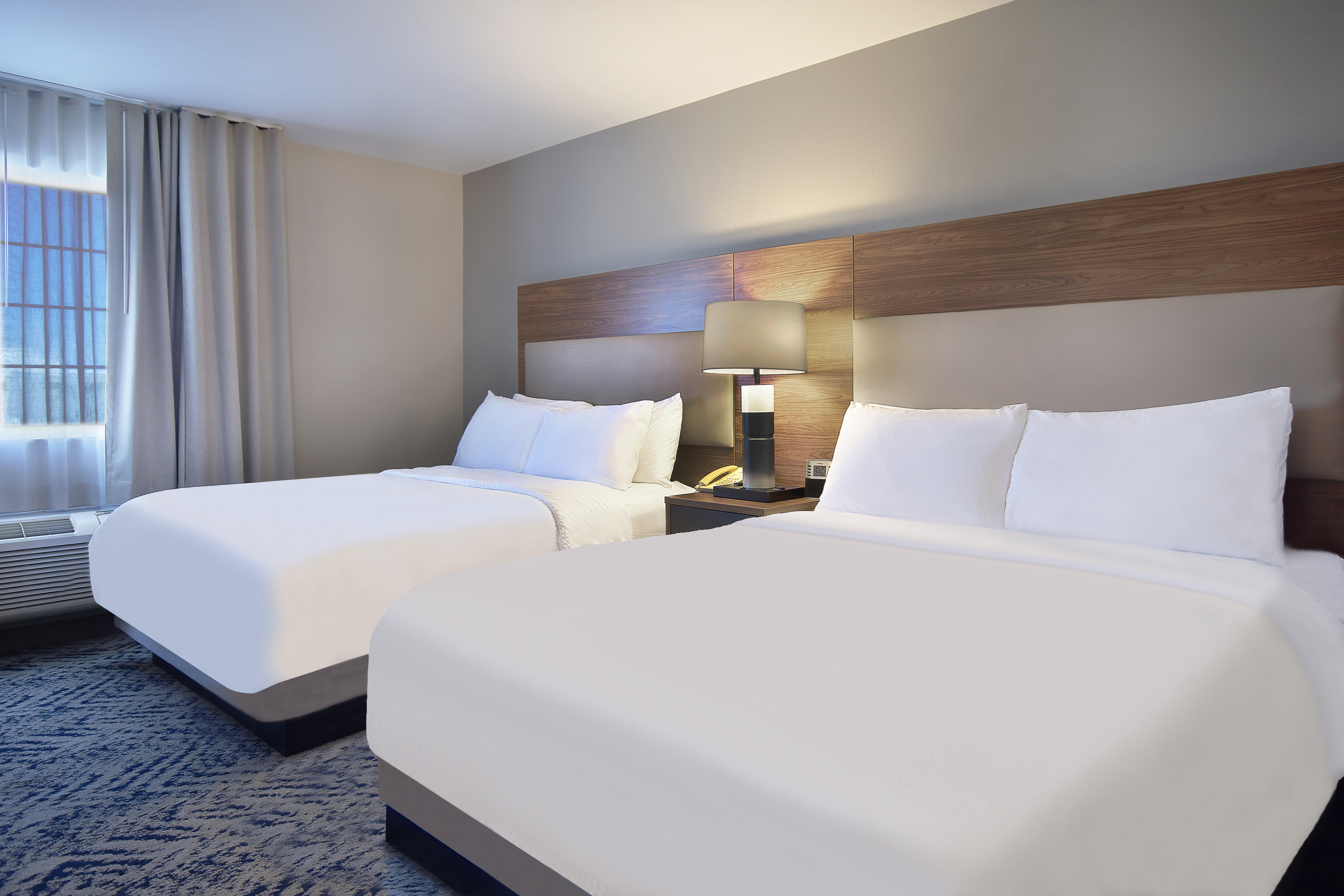 Studio, Suite, 2 Queen Beds