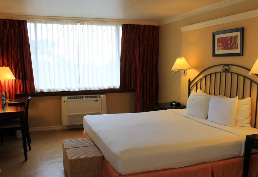 Superior, King Bed