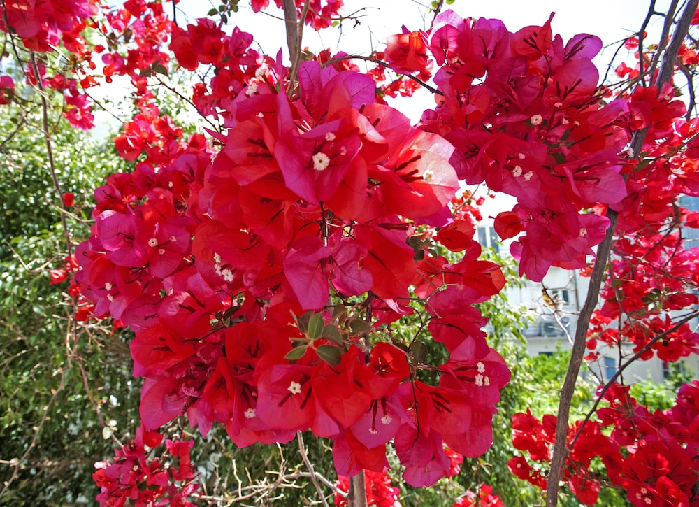マリサ・ルームズ 写真2