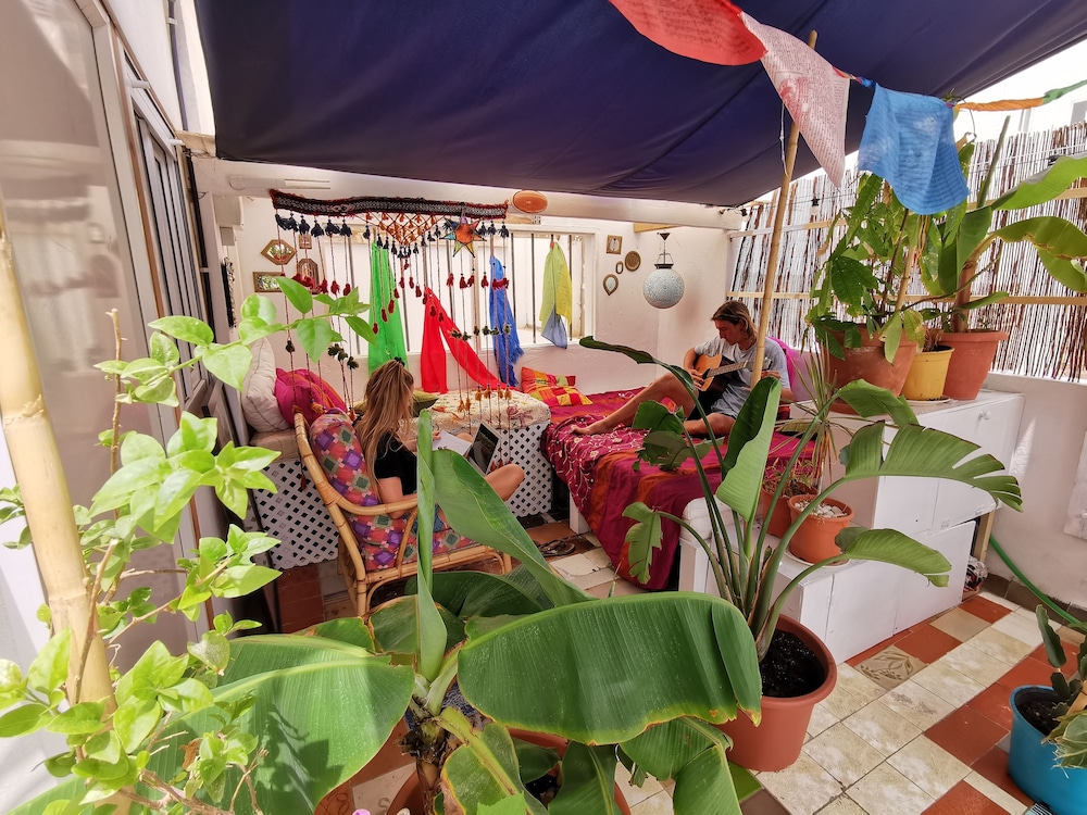 Avocado Surf Hostel 3/50