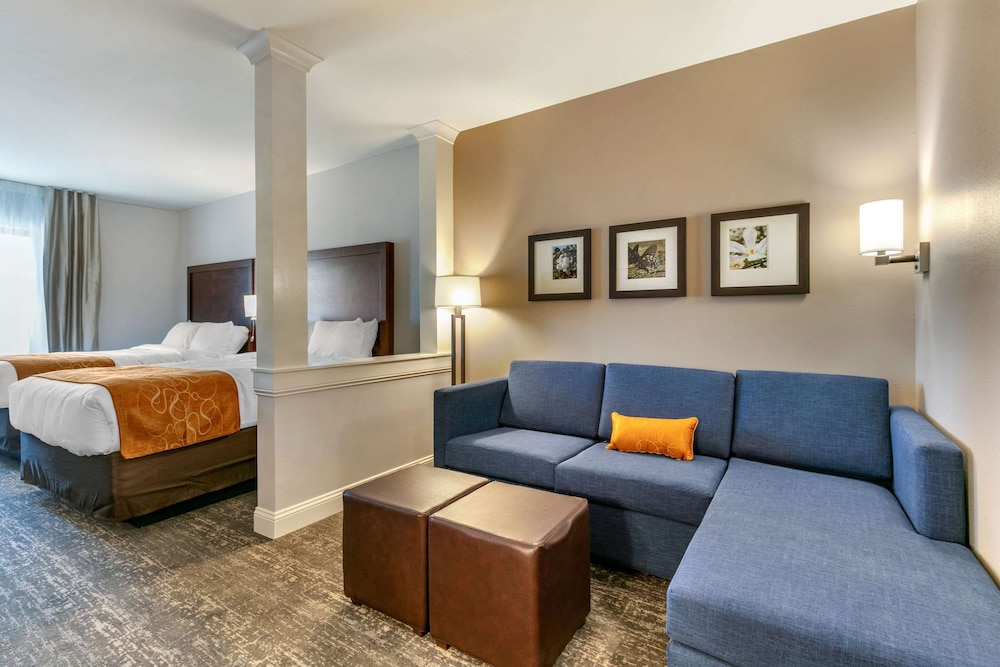 Comfort Suites North Tupelo, MS 22/36
