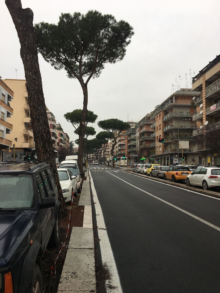Domum Vaticani 46/50