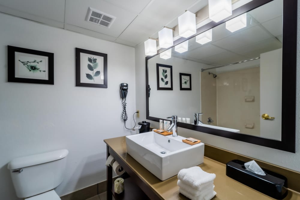 Country Inn & Suites By Radisson Richmond I-95 South VA 13/29