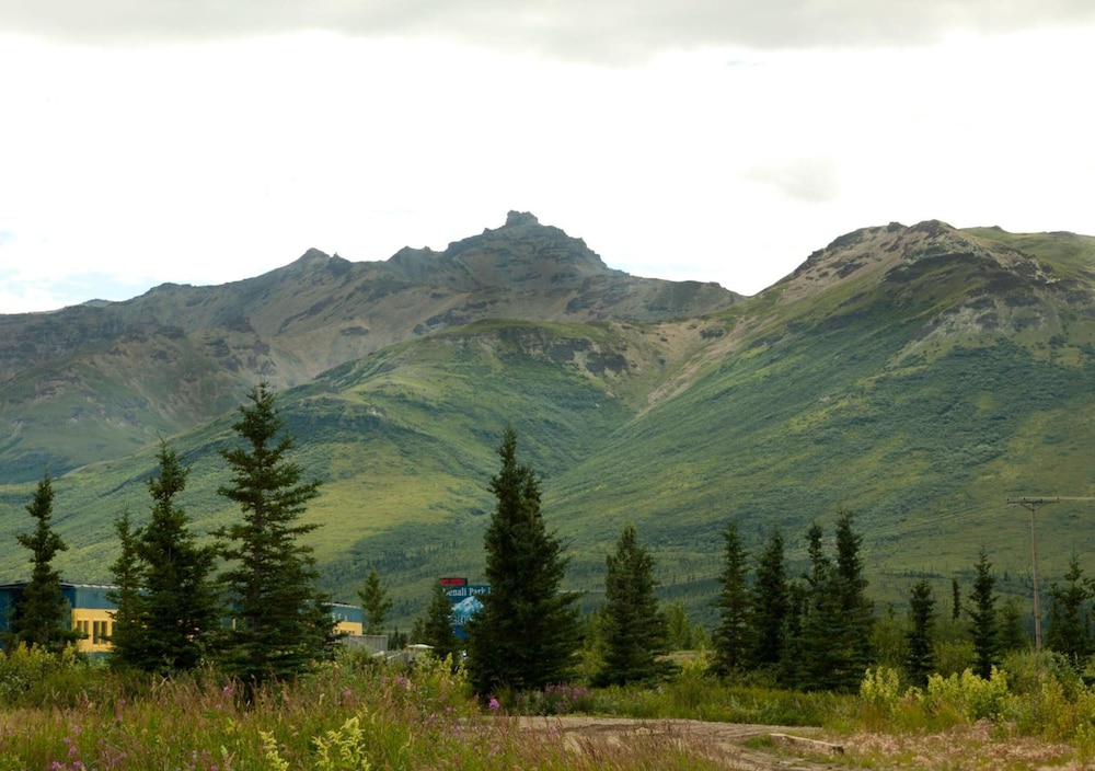 Denali Park Hotel 29/35