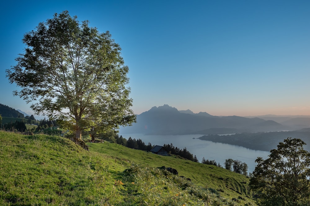 Hotel Central Luzern 44/50