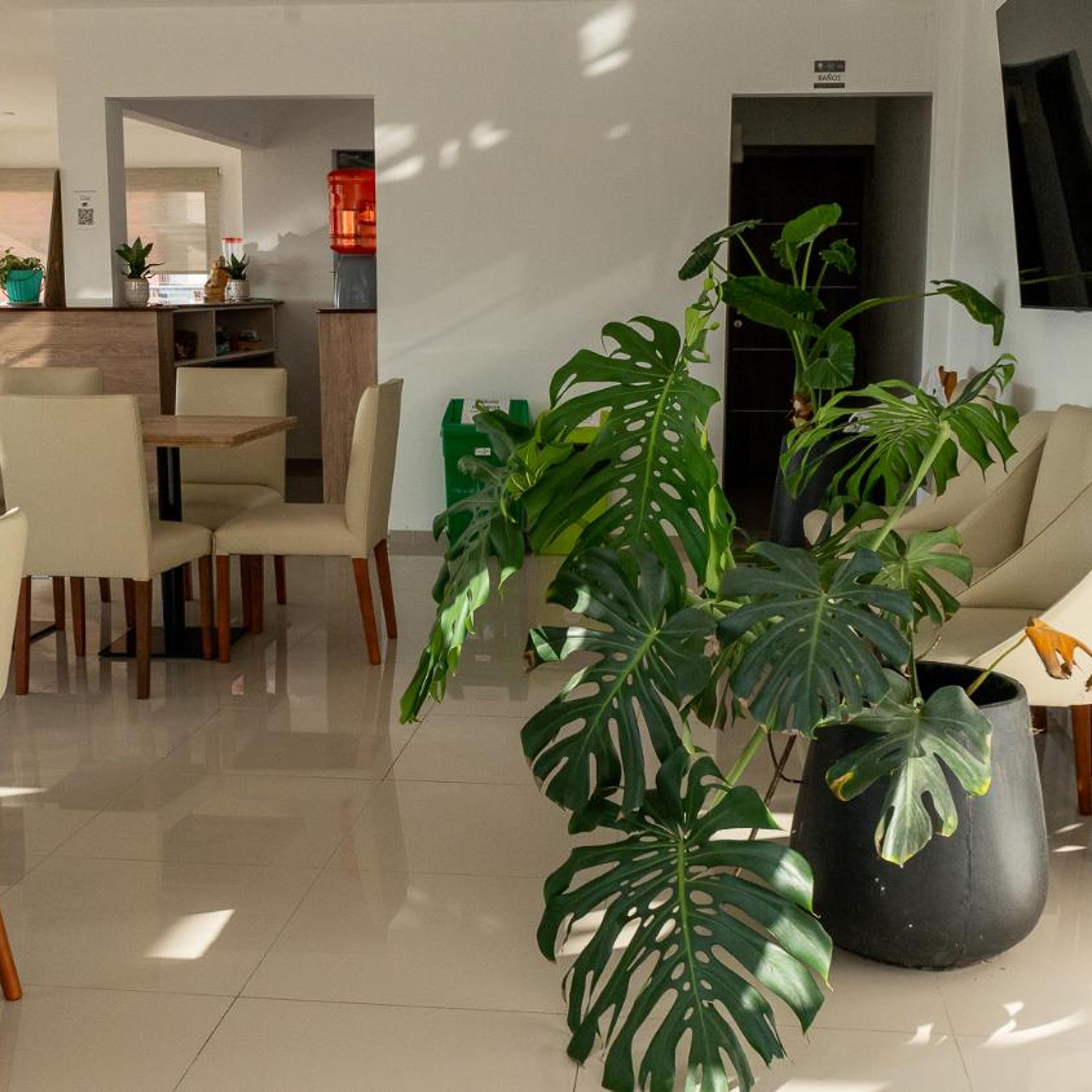 Hotel Altair 32/50