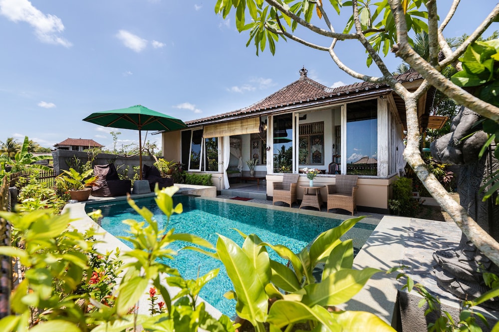Devi's Place 4/50
