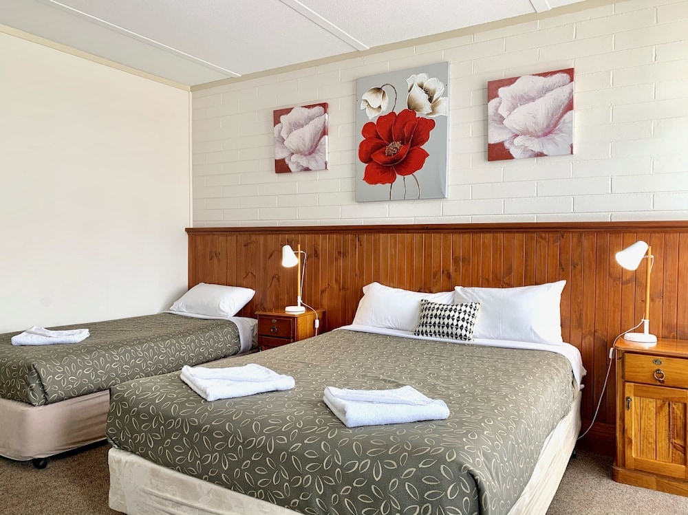 Central Mildura Motel 15/32