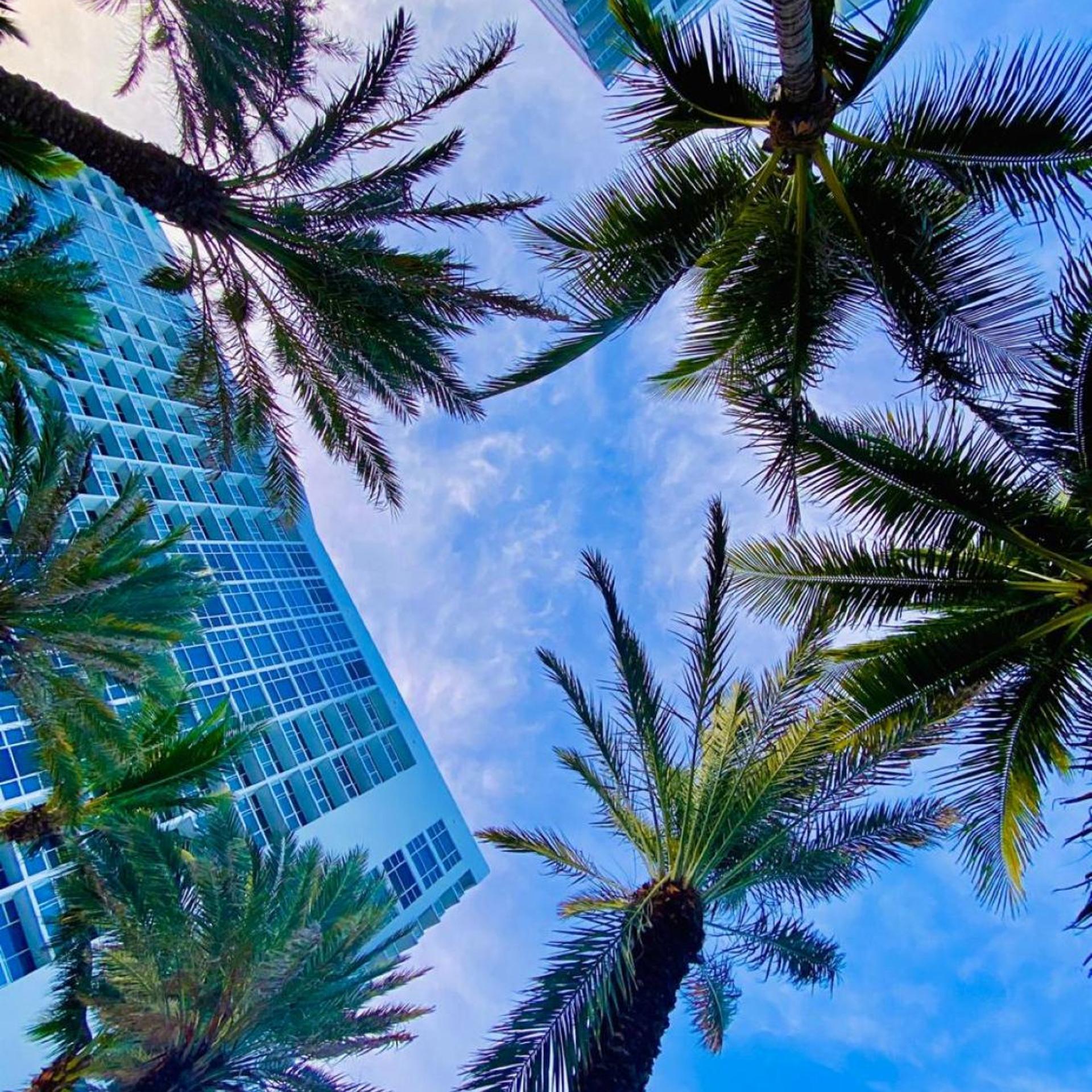 Carillon Miami Beach Private Luxury Suites 24/30