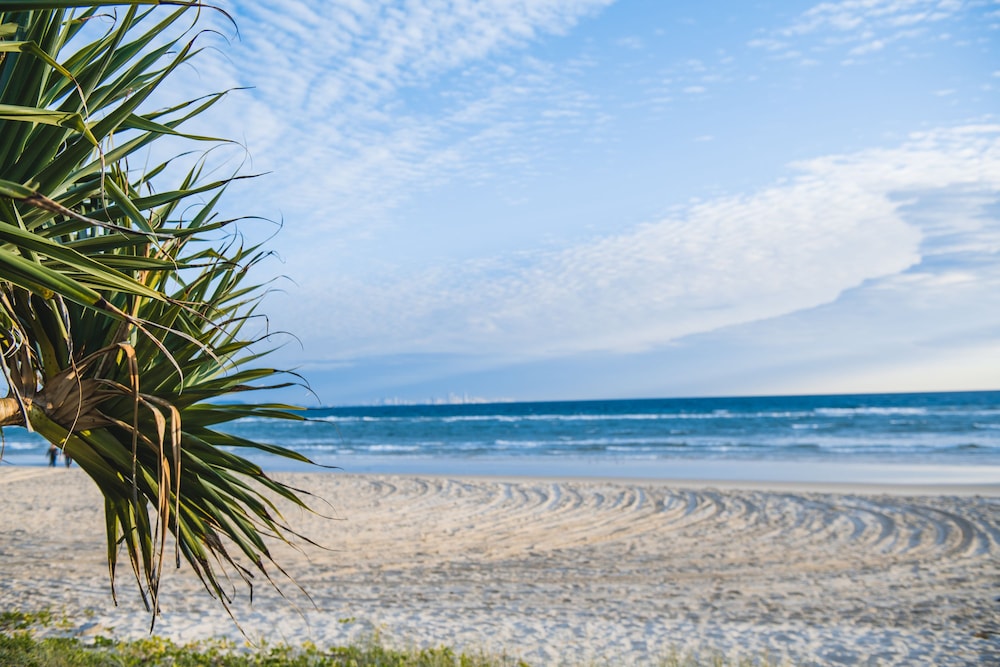 Iconic Kirra Beach Resort 65/72