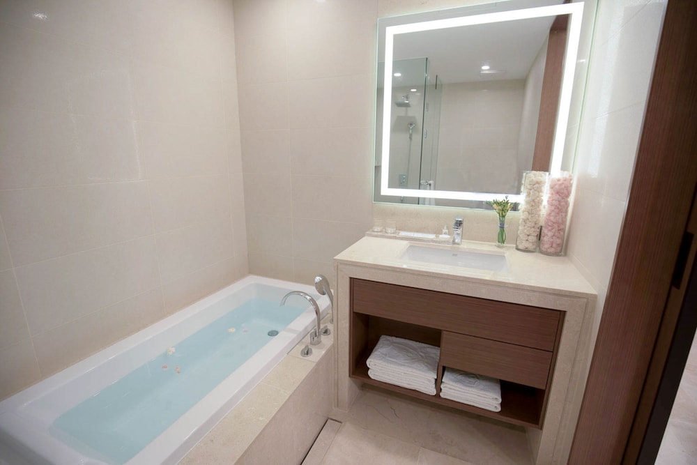 Hotel Skypark Central Seoul Pangyo 19/65
