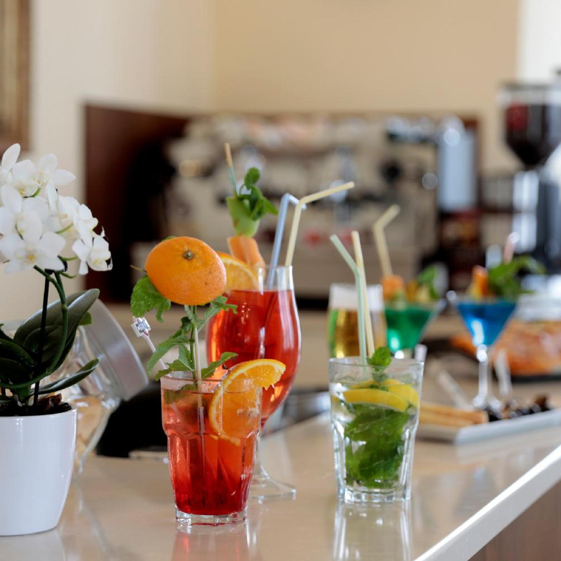 Hotel Villa Fulgida 19/50