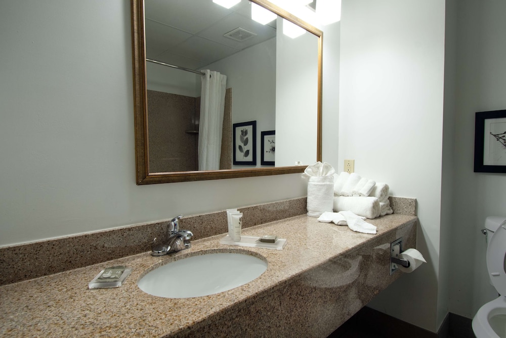 Country Inn and Suites By Radisson Augusta At I-20 GA 6/38